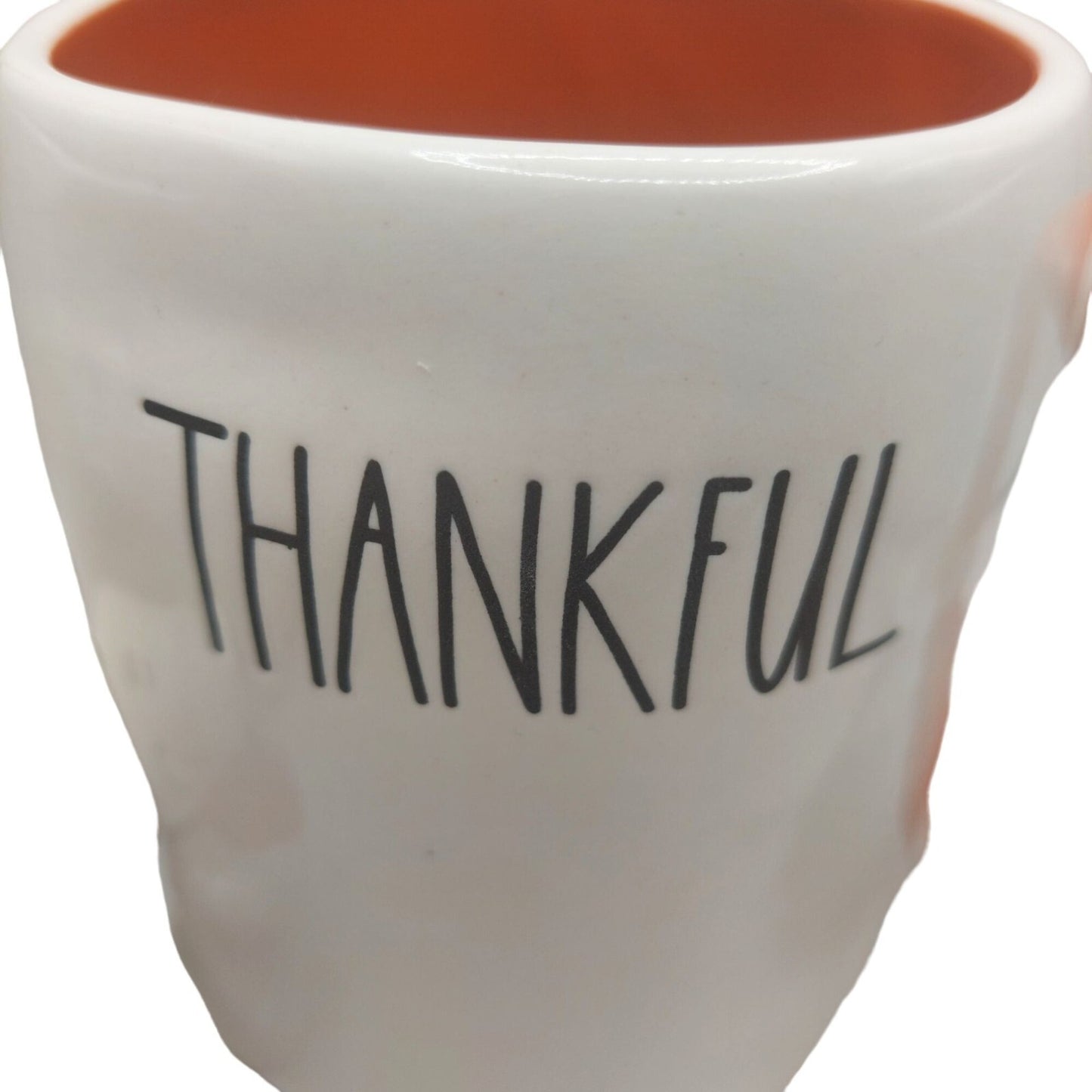 NWT Peanuts X Rae Dunn Snoopy "Thankful" Mug With Fall Pumpkin