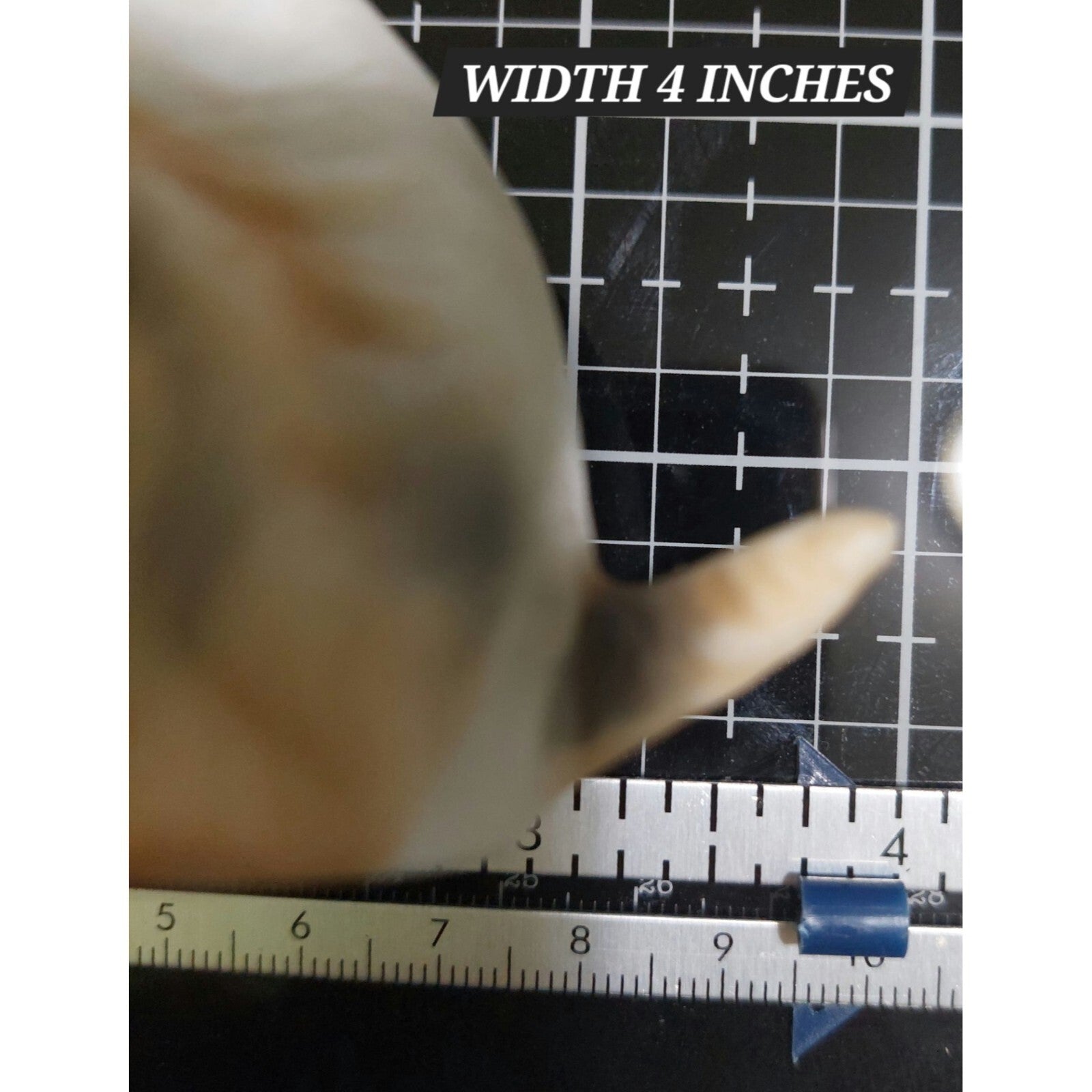 Vintage Porcelain Wire Haired Terrier Dog Figurine 4" Hand-Painted Made In Korea