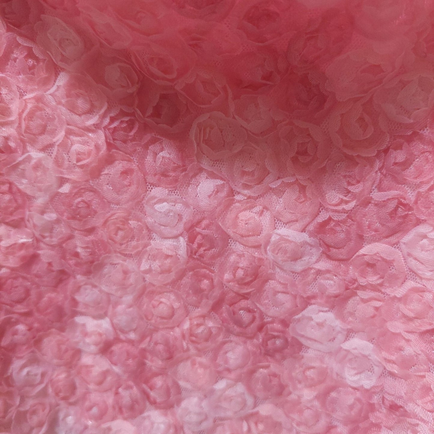 NWT Le Lis Pink Puff Sleeve Floral Crop Top W/ Textured Rose Design Large