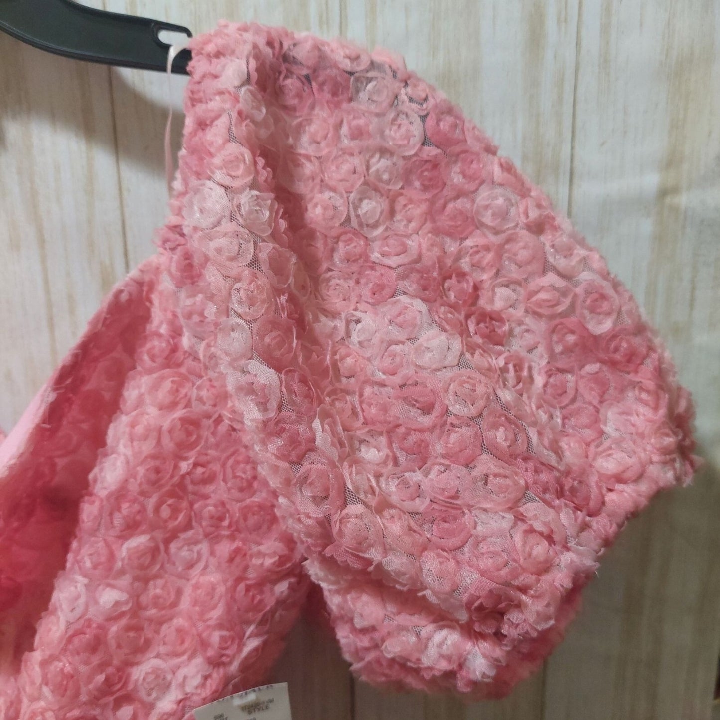 NWT Le Lis Pink Puff Sleeve Floral Crop Top W/ Textured Rose Design Large