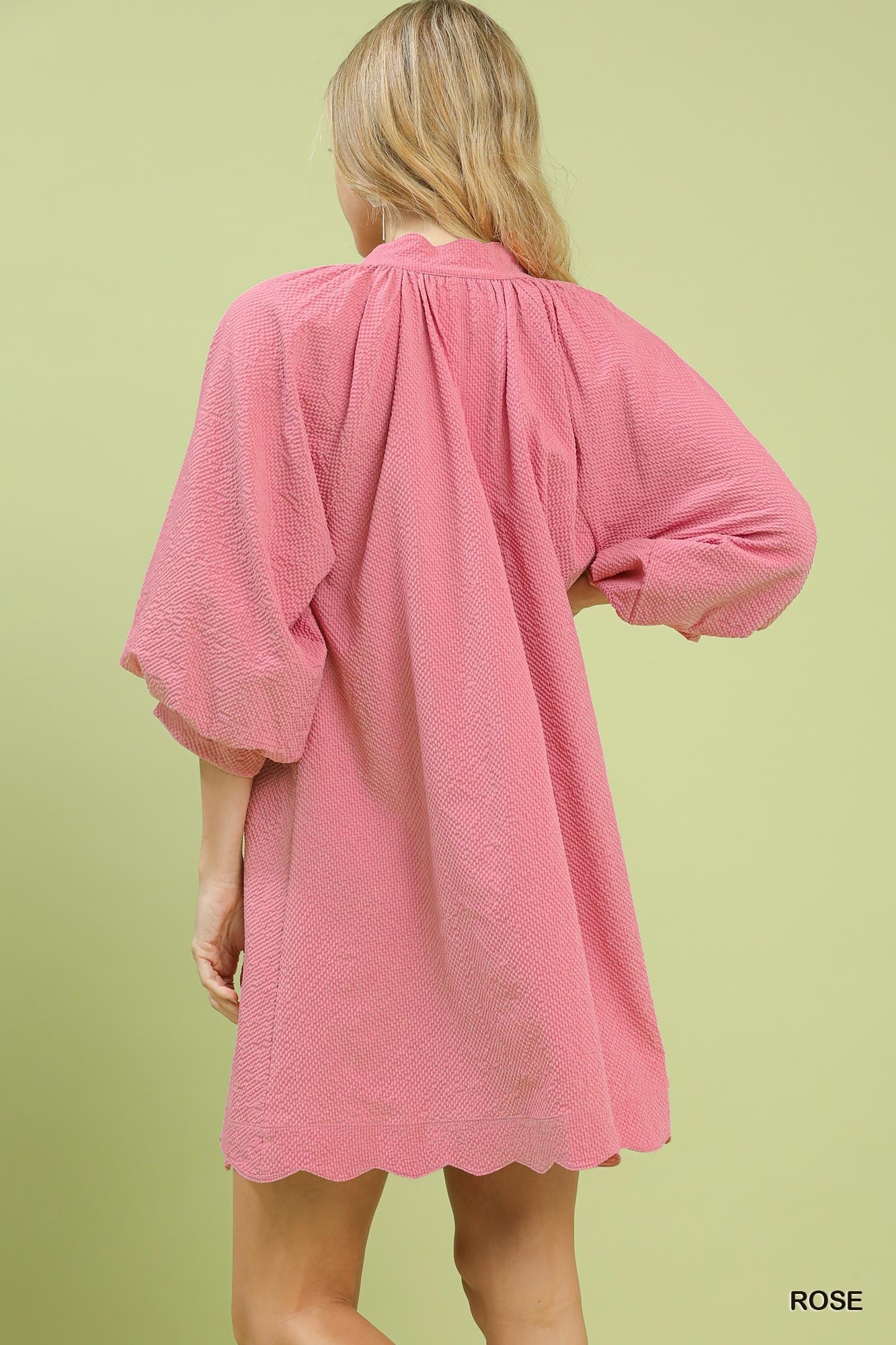 Rose Textured Pocket Mini Dress by Umgee Back View